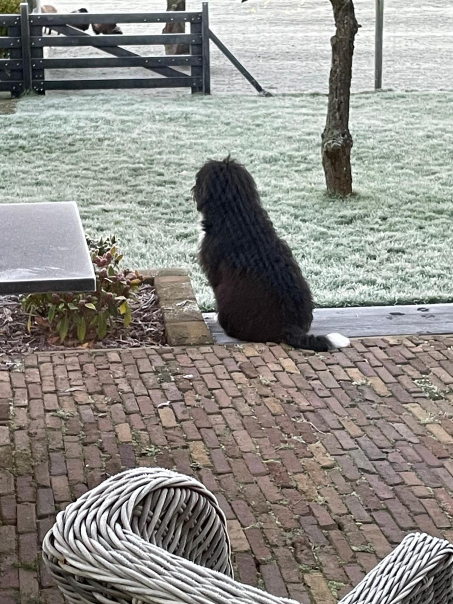 Vakantiewoning Le Garaazje 'S-Gravendeel