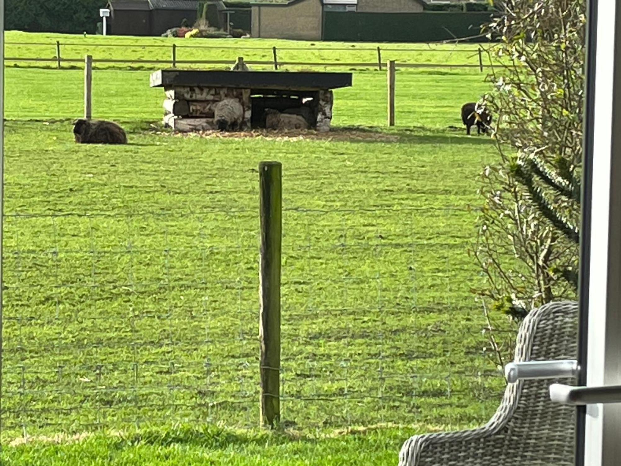 Vakantiewoning Le Garaazje * 'S-Gravendeel
