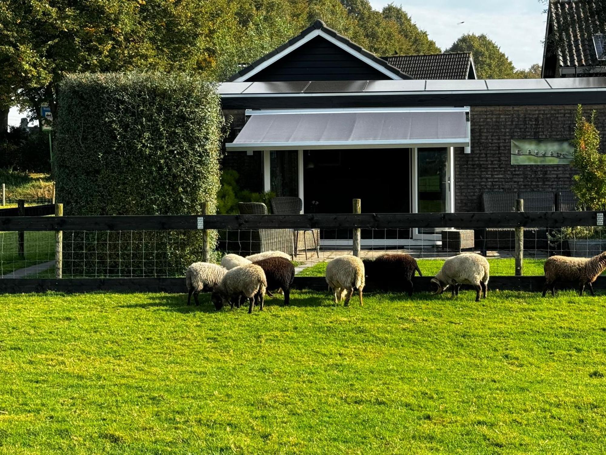 Vakantiewoning Le Garaazje Apartment